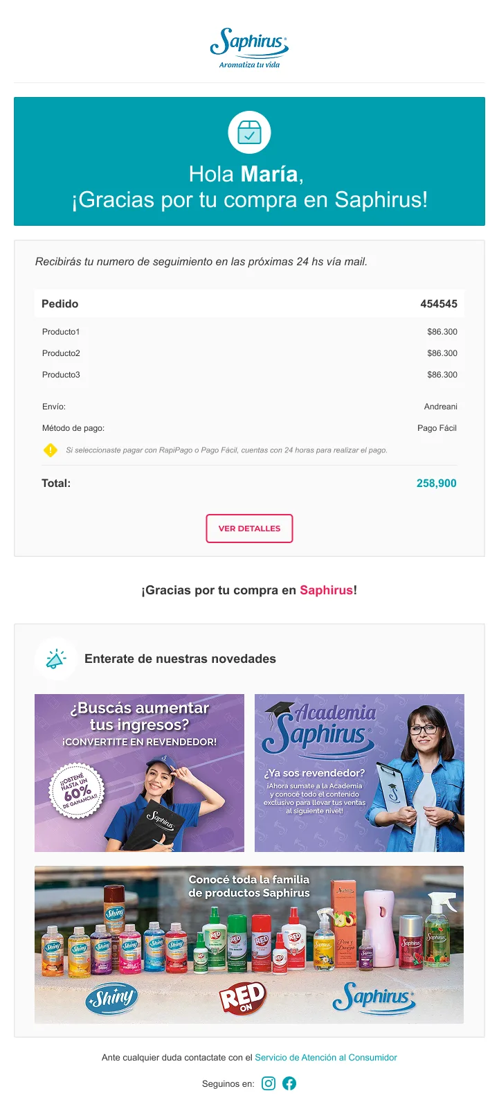 Saphirus purchase confirmation email with order summary, shipping, payment method, total and a 'View details' button